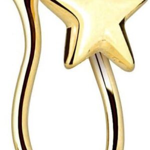 Gold Plated Star Nose Clip