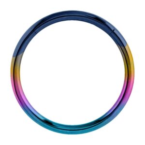 Surgical Steel Hinged Segment Ring - Rainbow