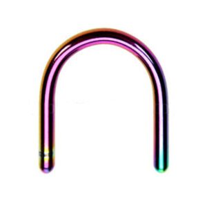 Rainbow Steel Septum Retainer