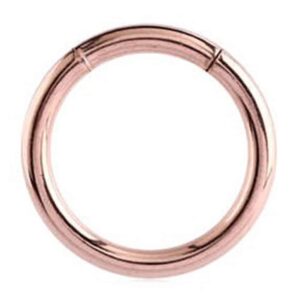 Rose Gold Smooth Segment Ring