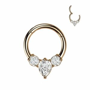 Rose Gold Surgical Steel Hinged Segment with CZ Jewels