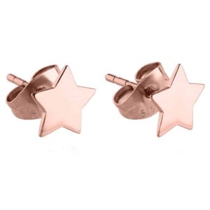 Rose Gold Surgical Steel Star Ear Studs
