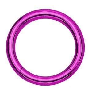Surgical Steel Hinged Segment Ring - Purple
