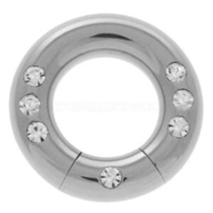 Surgical Steel Smooth Segment Ring - Multi Jewel