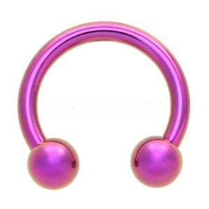 Titanium Circular Barbell - Purple