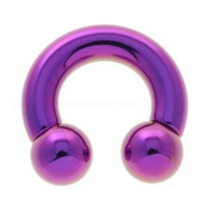 Titanium Large Gauge Circular Barbell - Purple