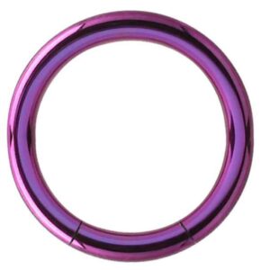 Titanium Smooth Segment Ring - Purple