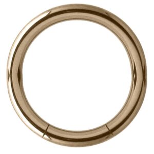 Zircon Gold Smooth Segment Ring